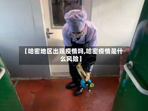 【哈密地区出现疫情吗,哈密疫情是什么风险】-第1张图片