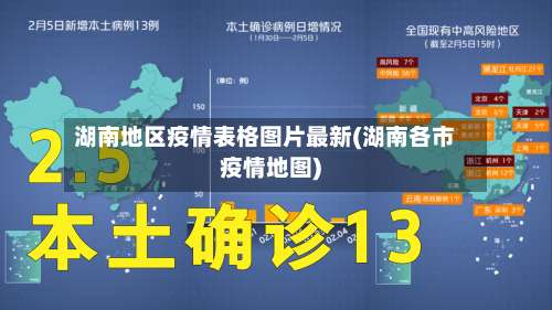湖南地区疫情表格图片最新(湖南各市疫情地图)-第2张图片