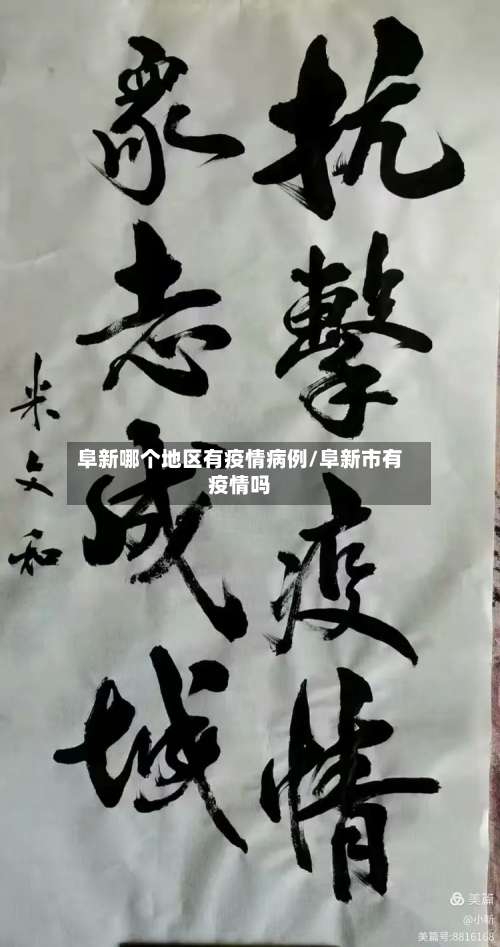 阜新哪个地区有疫情病例/阜新市有疫情吗-第2张图片