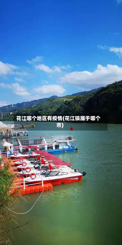 花江哪个地区有疫情(花江镇属于哪个市)-第2张图片