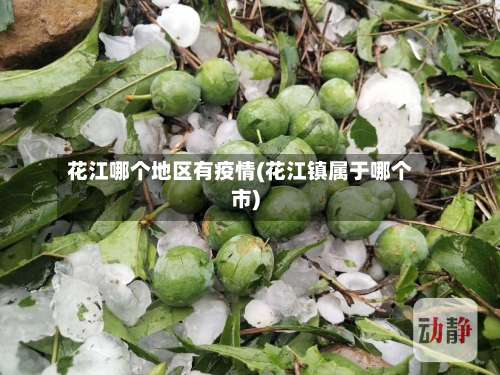 花江哪个地区有疫情(花江镇属于哪个市)-第1张图片
