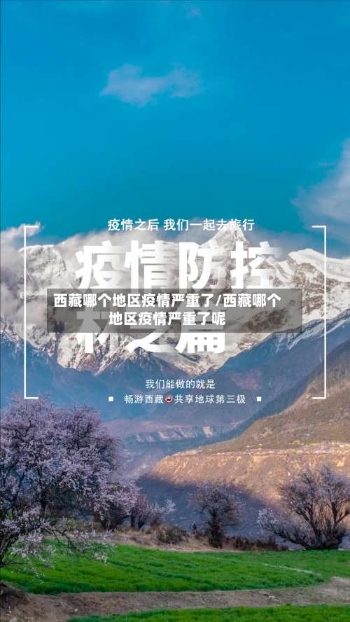 西藏哪个地区疫情严重了/西藏哪个地区疫情严重了呢-第1张图片