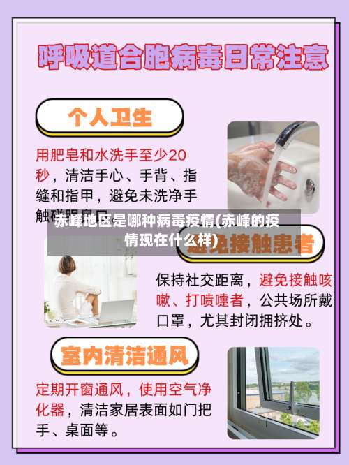 赤峰地区是哪种病毒疫情(赤峰的疫情现在什么样)-第2张图片