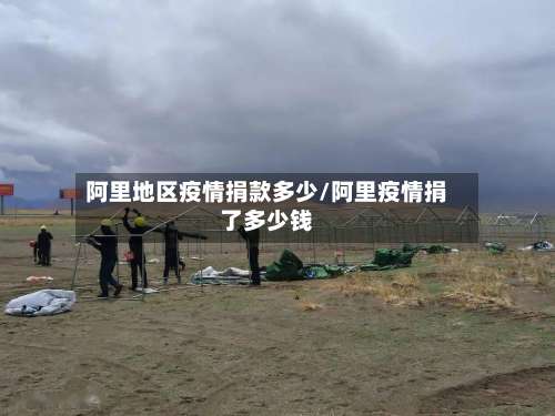 阿里地区疫情捐款多少/阿里疫情捐了多少钱-第1张图片