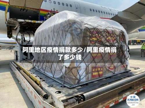 阿里地区疫情捐款多少/阿里疫情捐了多少钱-第2张图片