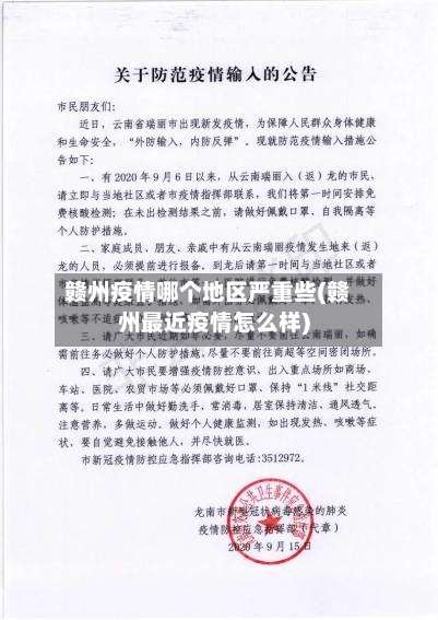 赣州疫情哪个地区严重些(赣州最近疫情怎么样)-第3张图片