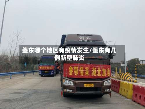 肇东哪个地区有疫情发生/肇东有几例新型肺炎-第2张图片
