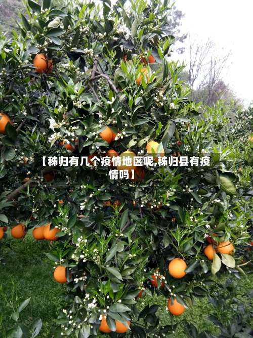 【秭归有几个疫情地区呢,秭归县有疫情吗】-第3张图片