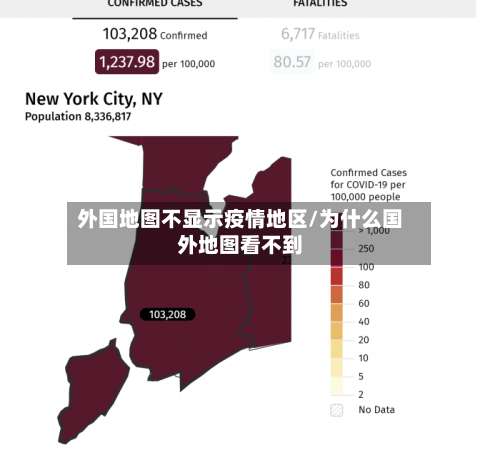 外国地图不显示疫情地区/为什么国外地图看不到-第3张图片