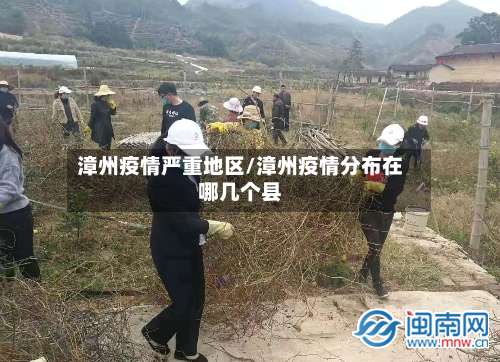 漳州疫情严重地区/漳州疫情分布在哪几个县-第1张图片