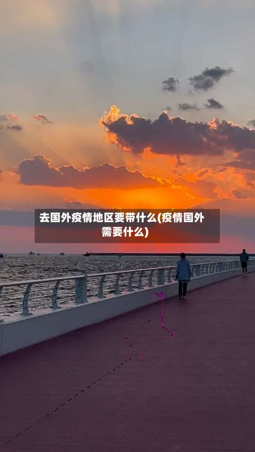 去国外疫情地区要带什么(疫情国外需要什么)-第2张图片