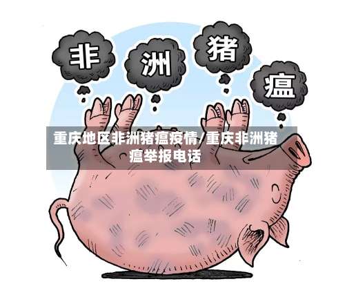 重庆地区非洲猪瘟疫情/重庆非洲猪瘟举报电话-第1张图片