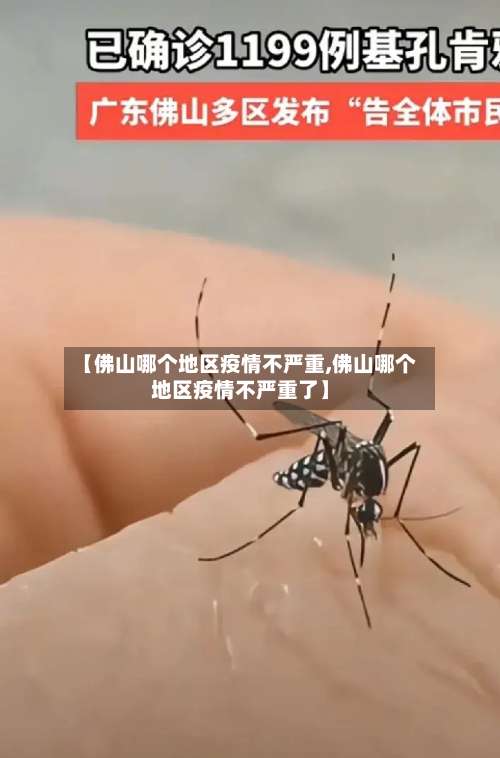 【佛山哪个地区疫情不严重,佛山哪个地区疫情不严重了】-第2张图片