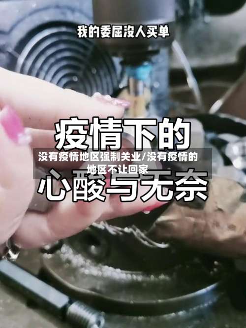 没有疫情地区强制关业/没有疫情的地区不让回家-第3张图片