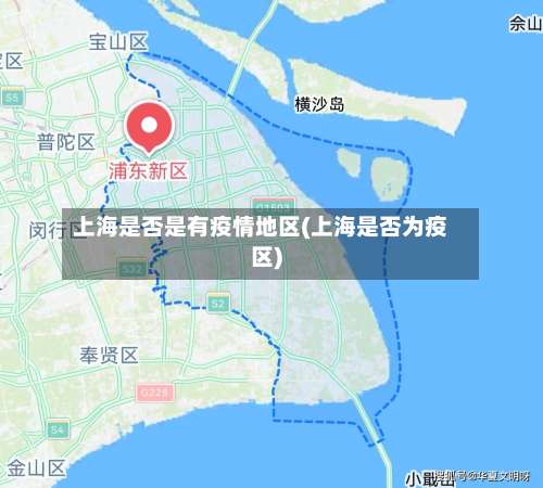 上海是否是有疫情地区(上海是否为疫区)-第3张图片