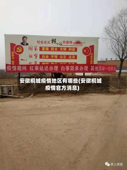 安徽桐城疫情地区有哪些(安徽桐城疫情官方消息)-第2张图片