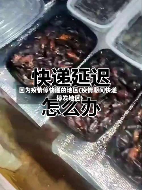 因为疫情停快递的地区(疫情期间快递停发地区)-第2张图片