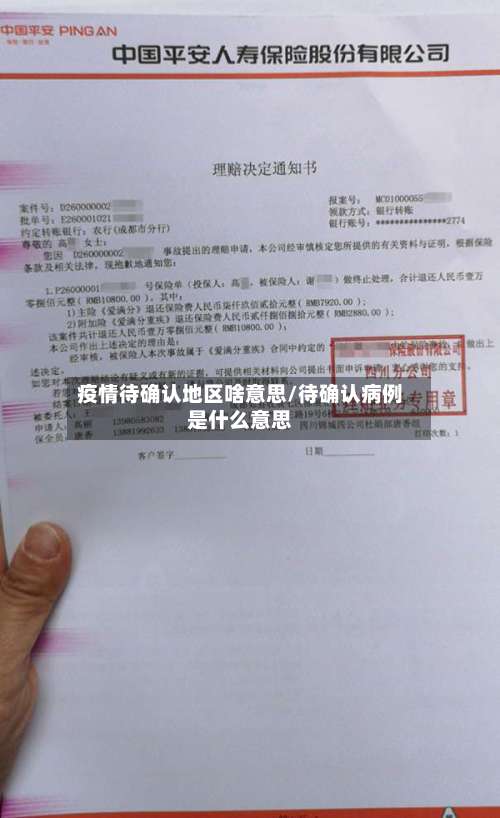 疫情待确认地区啥意思/待确认病例是什么意思-第1张图片