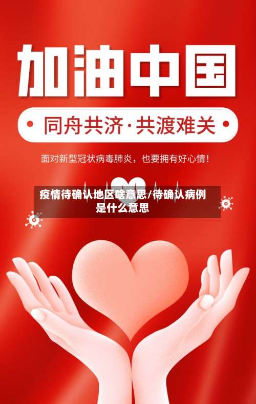 疫情待确认地区啥意思/待确认病例是什么意思-第2张图片