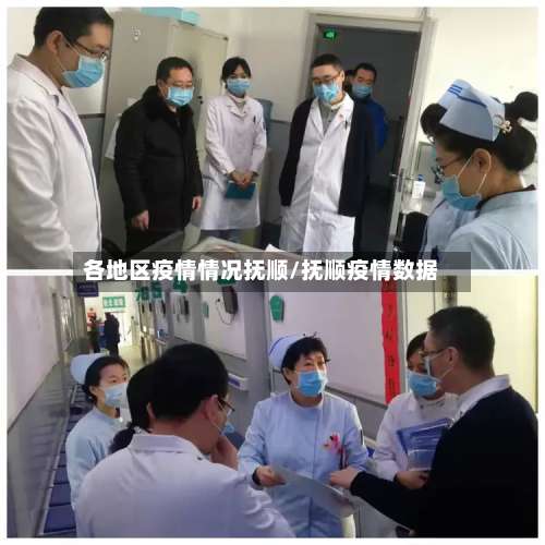 各地区疫情情况抚顺/抚顺疫情数据-第3张图片