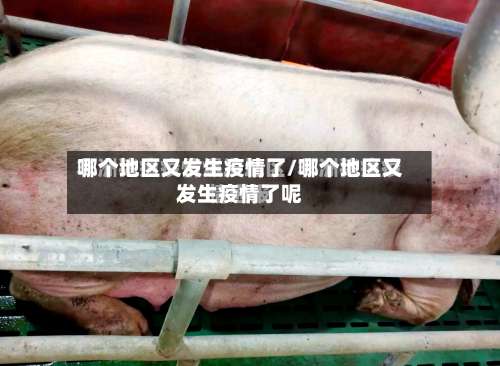 哪个地区又发生疫情了/哪个地区又发生疫情了呢-第3张图片