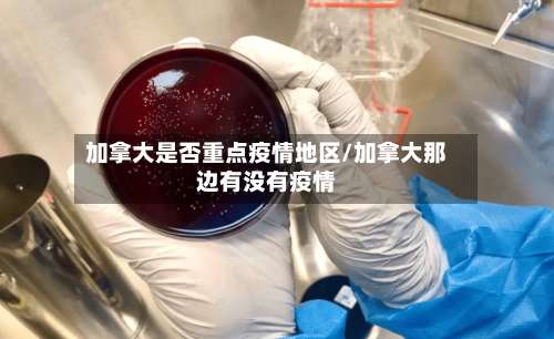 加拿大是否重点疫情地区/加拿大那边有没有疫情-第1张图片