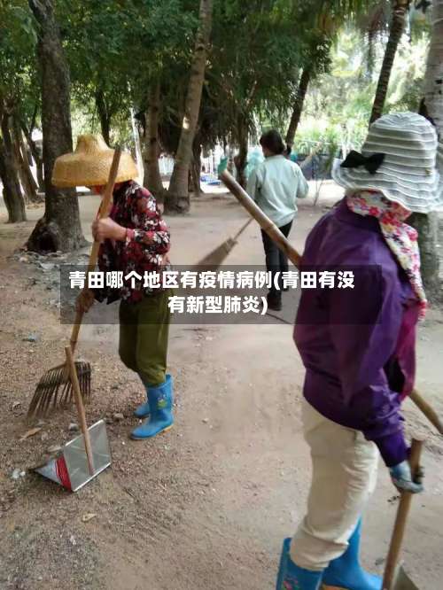 青田哪个地区有疫情病例(青田有没有新型肺炎)-第1张图片