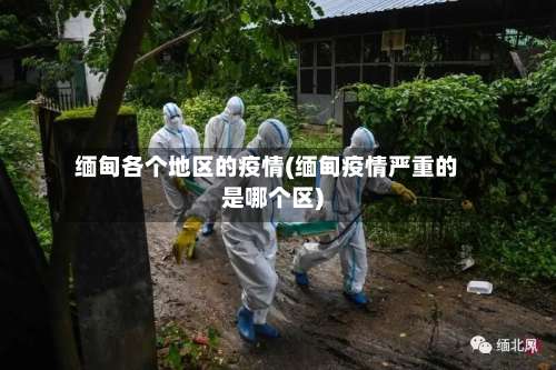 缅甸各个地区的疫情(缅甸疫情严重的是哪个区)-第2张图片