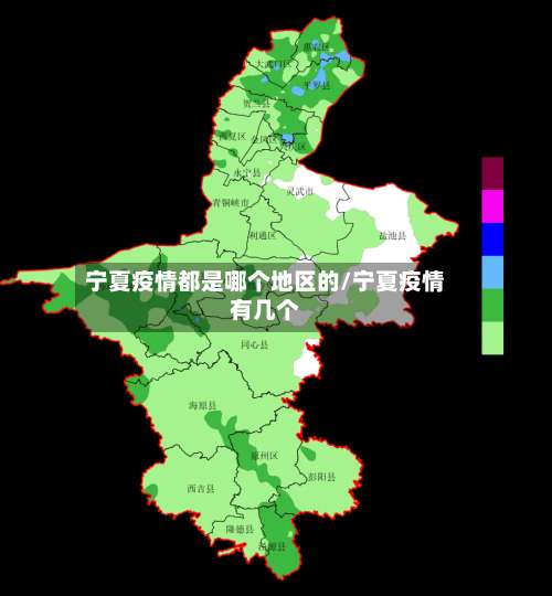 宁夏疫情都是哪个地区的/宁夏疫情有几个-第1张图片