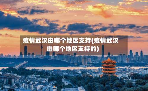 疫情武汉由哪个地区支持(疫情武汉由哪个地区支持的)-第2张图片