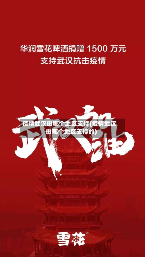 疫情武汉由哪个地区支持(疫情武汉由哪个地区支持的)-第3张图片