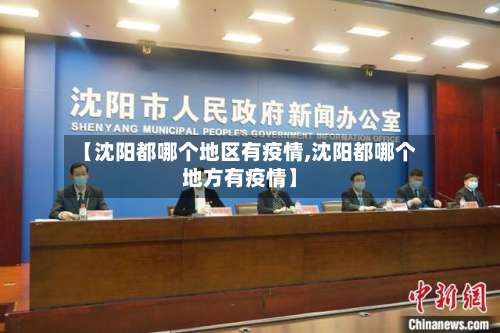 【沈阳都哪个地区有疫情,沈阳都哪个地方有疫情】-第2张图片