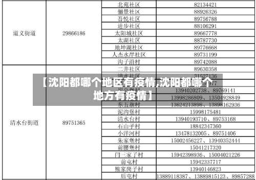 【沈阳都哪个地区有疫情,沈阳都哪个地方有疫情】-第1张图片