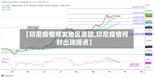 【印尼疫情频发地区原因,印尼疫情何时出现拐点】-第2张图片