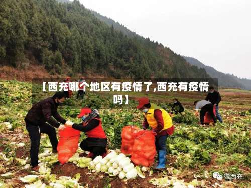 【西充哪个地区有疫情了,西充有疫情吗】-第1张图片