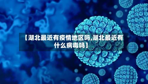 【湖北最近有疫情地区吗,湖北最近有什么病毒吗】-第1张图片