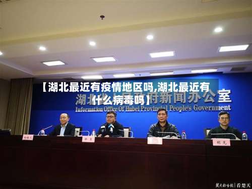 【湖北最近有疫情地区吗,湖北最近有什么病毒吗】-第2张图片