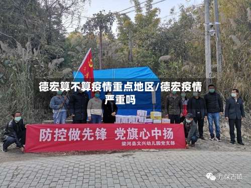 德宏算不算疫情重点地区/德宏疫情严重吗-第1张图片