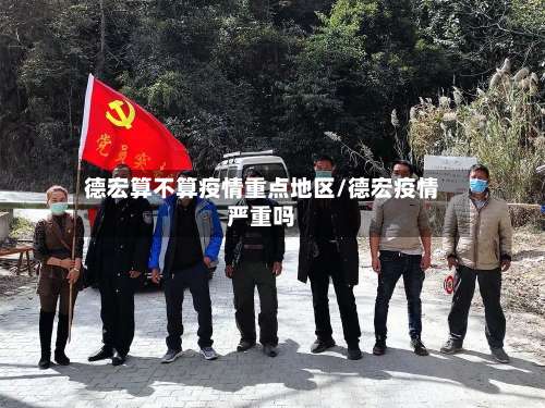 德宏算不算疫情重点地区/德宏疫情严重吗-第3张图片