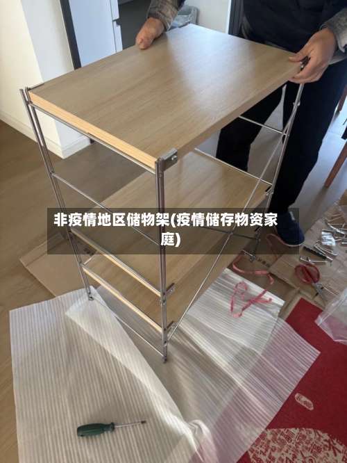 非疫情地区储物架(疫情储存物资家庭)-第1张图片