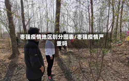 枣强疫情地区划分图表/枣强疫情严重吗-第1张图片