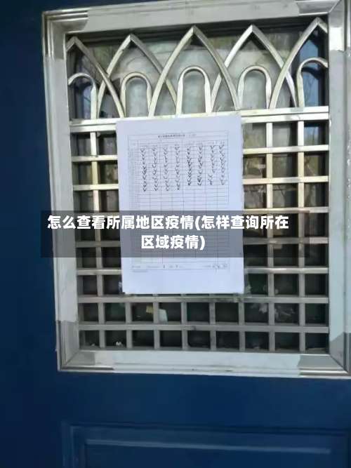 怎么查看所属地区疫情(怎样查询所在区域疫情)-第1张图片