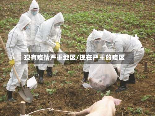 现有疫情严重地区/现在严重的疫区-第2张图片