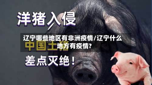 辽宁哪些地区有非洲疫情/辽宁什么地方有疫情?-第1张图片