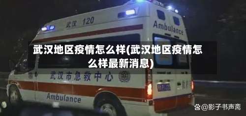 武汉地区疫情怎么样(武汉地区疫情怎么样最新消息)-第3张图片