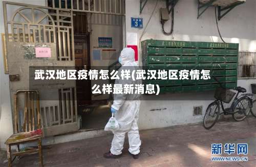 武汉地区疫情怎么样(武汉地区疫情怎么样最新消息)-第2张图片