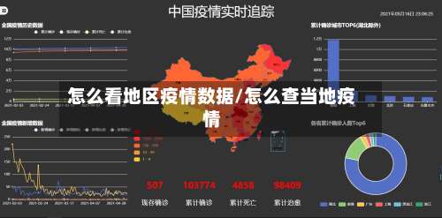 怎么看地区疫情数据/怎么查当地疫情-第1张图片