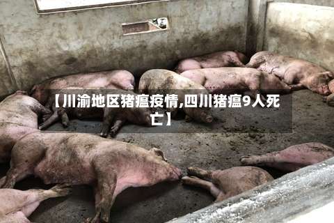 【川渝地区猪瘟疫情,四川猪瘟9人死亡】-第3张图片