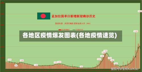 各地区疫情爆发图表(各地疫情速览)-第2张图片