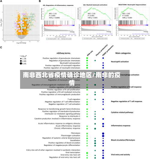 南非西北省疫情确诊地区/南非的疫情-第1张图片